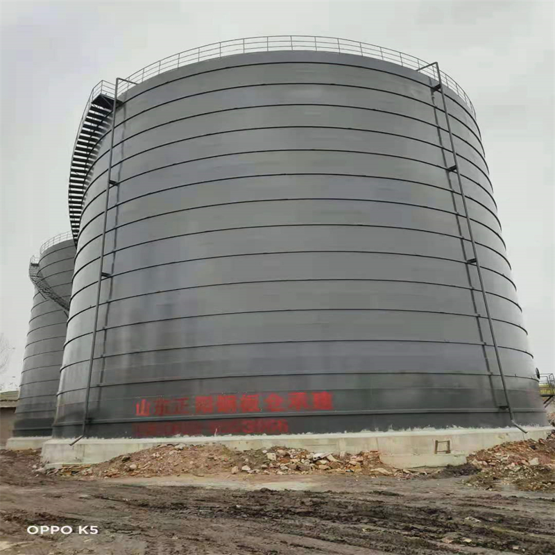 洋浦经济开发区3万吨大型钢板库