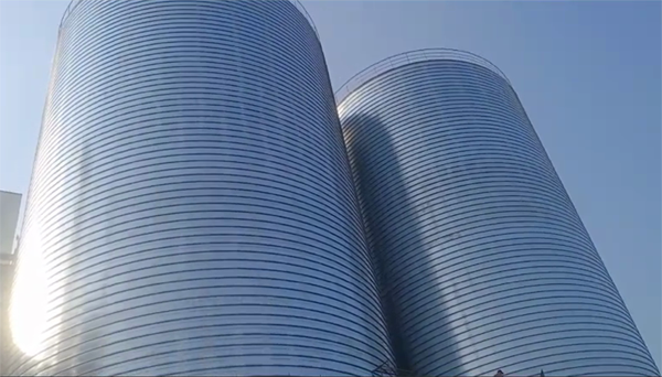 洋浦经济开发区2座混凝土高架卷板仓